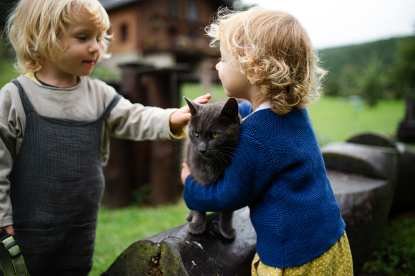 Happy small children playing outdoors with a cat in garden.