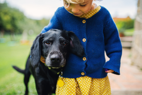 Front view portrait of small girl with pet dog outdoors in garden, walking.