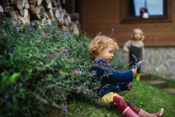 Happy small children playing outdoors in garden, sustainable lifestyle concept.