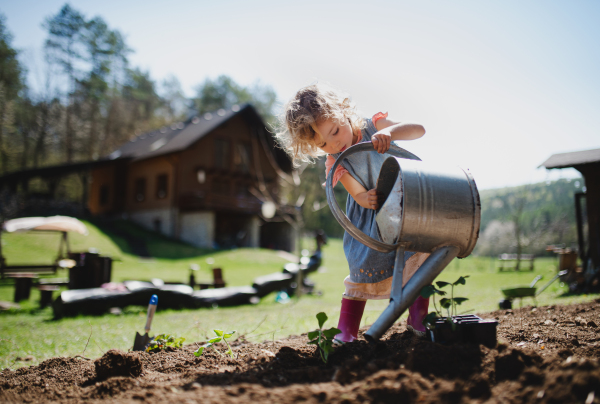 Small girl watering outdoors in garden, gardening and sustainable lifestyle concept.