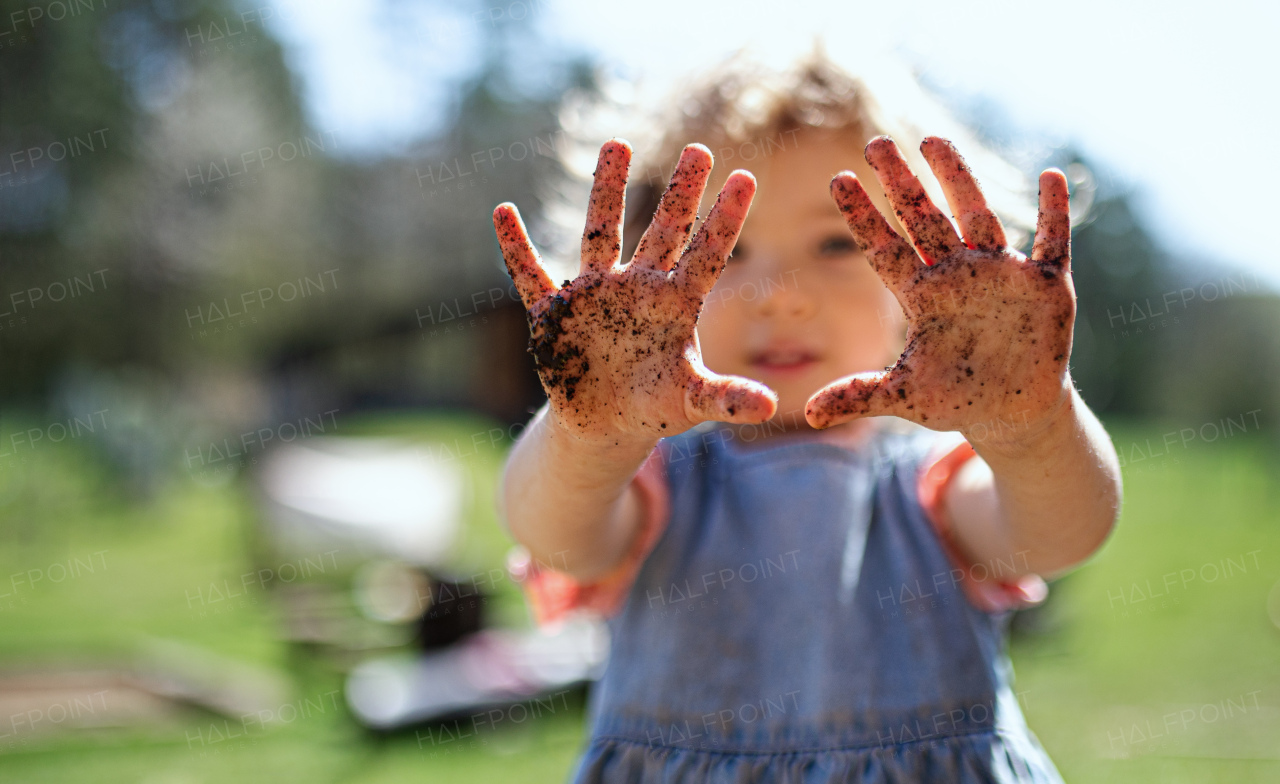 Portrait of small girl showing dirty hands outdoors in garden, sustainable lifestyle concept.