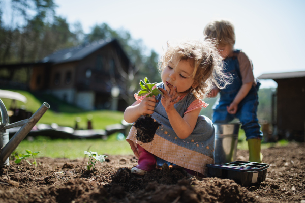 Happy small children working outdoors in garden, sustainable lifestyle concept.