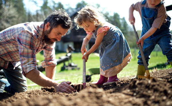 Mature father with small children working outdoors in garden, sustainable lifestyle concept.