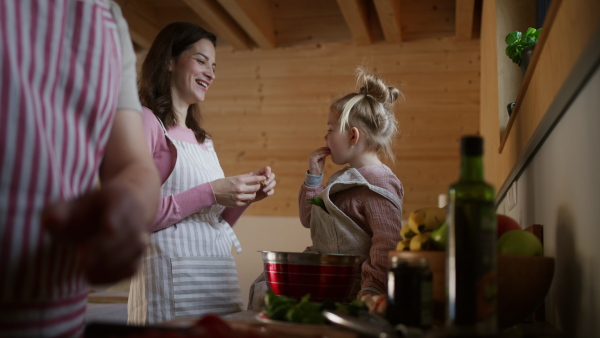 A happy young family with small child cooking together in cabin on holiday.