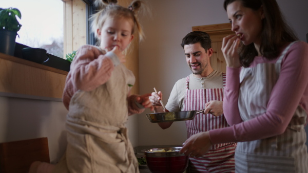 A happy young family with small child cooking together in cabin on holiday.