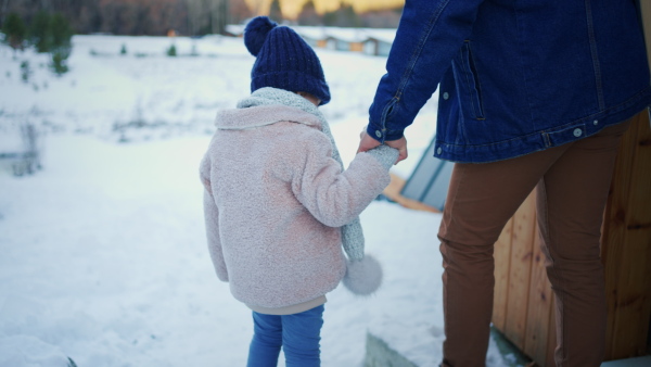 A rear view of young father on winter holiday with small child and sledge outdoors in snowy nature.