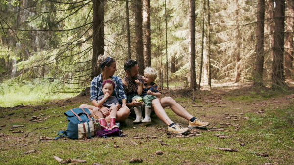 A family with small children having picnic in summer forest .