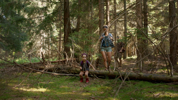 A family with small children walking in summer forest.