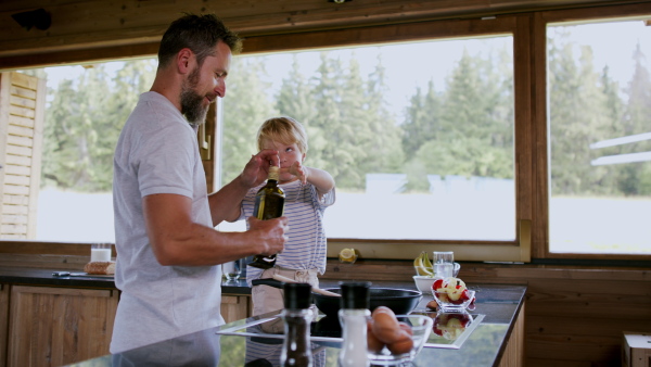 A father with small son cooking together in kitchen.