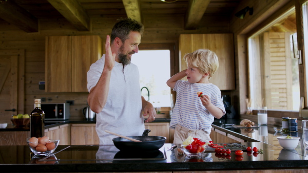 A father with small son cooking together in kitchen.