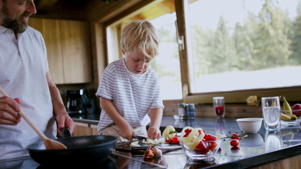 A father with small son cooking together in kitchen.