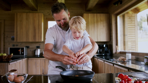 A father with small son cooking together in kitchen.