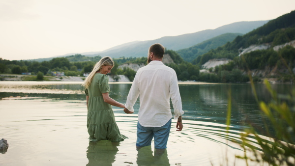 A rear view of mature couple in love standing in nature, holding hands.