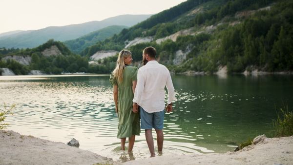 A rear view of mature couple in love standing in nature, holding hands.