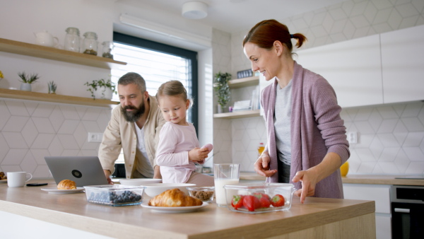 A beautiful family at home, mother preparing a breakfast, father working.