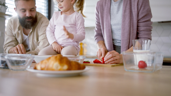 A beautiful family at home, mother preparing a breakfast, father working.