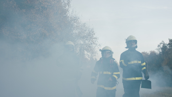 Firefighters men and woman at action, running through smoke to stop the fire in forest.