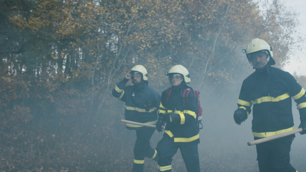 Firefighters men and woman at action, running through smoke to stop the fire in forest.