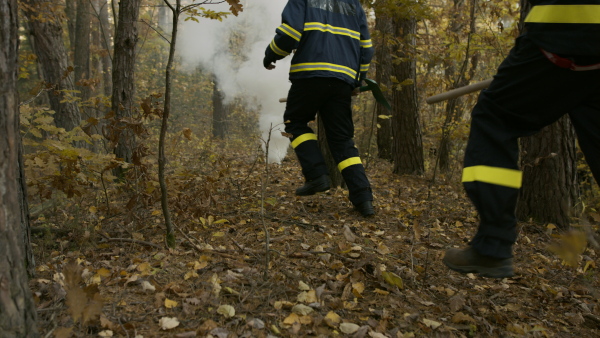 Firefighters men at action, running through the smoke with shovels to stop fire in forest.