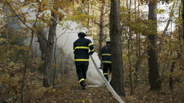 Firefighters men at action, running through smoke with a hose to stop fire in forest.