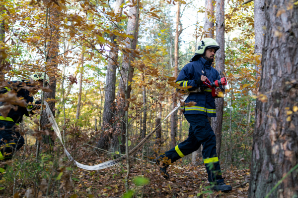 Firefighters men at action, running through the smoke with shovels to stop fire in forest.