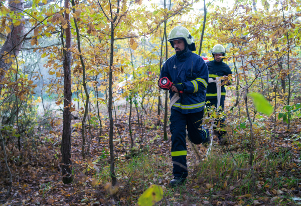 Firefighters men at action, running through the smoke with shovels to stop fire in forest.