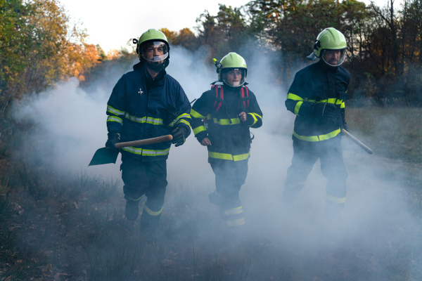 Firefighters men and woman at action, running through smoke to stop the fire in forest.