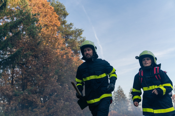 Firefighters man and woman at an action, running through smoke with shovels to stop fire in forest.