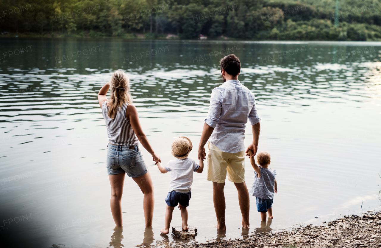 A rear view of young family with two toddler children spending time outdoors by the river in summer.