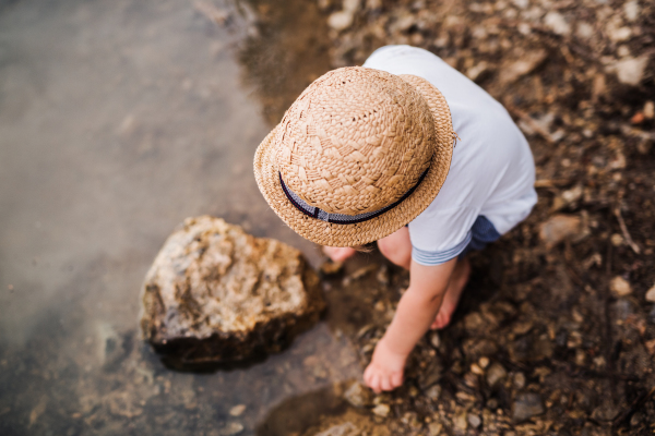 A top view of small toddler boy standing barefoot outdoors by a river in summer, playing.