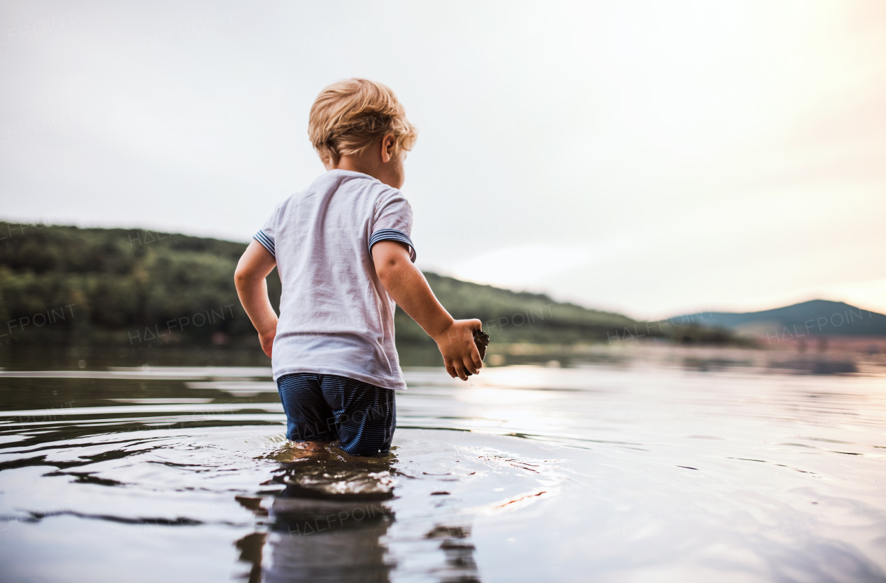 A wet, happy small toddler boy walking outdoors in a river in summer, playing.