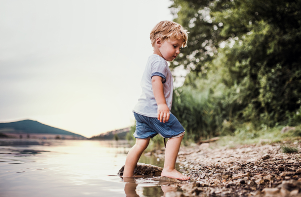 A wet, small toddler boy standing barefoot outdoors in a river in summer, playing.