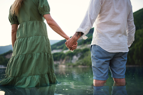 A rear view of mature couple in love standing in nature, holding hands.