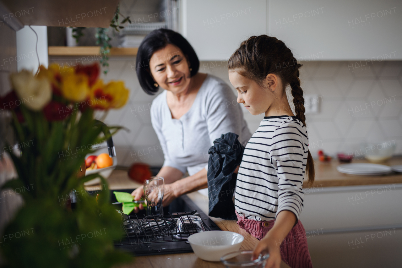 A happy small girl with senior grandmother indoors at home helping to dry dishes.