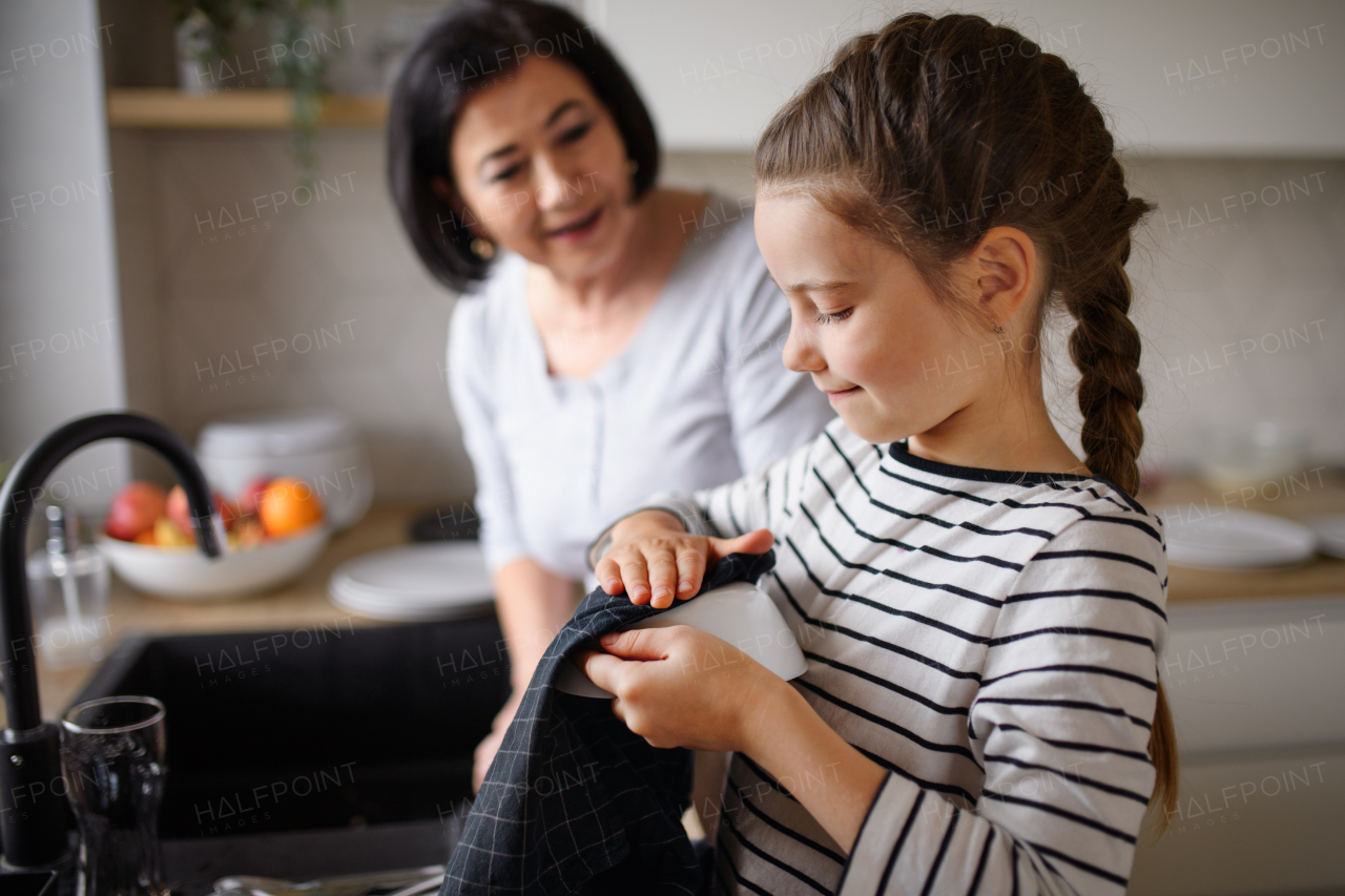 A happy small girl with senior grandmother indoors at home drying dishes.