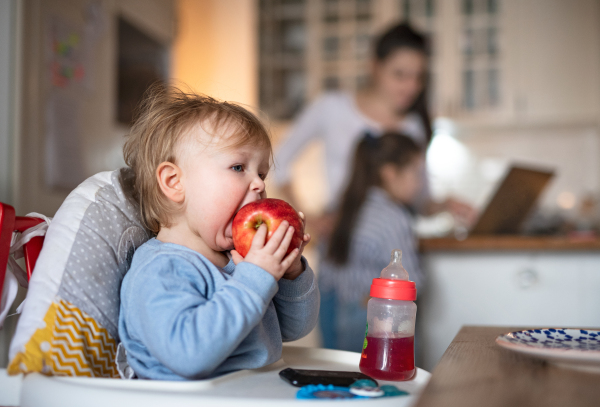 Portrait of small toddler girl with mother and sister, sitting in highchair and eating apple.