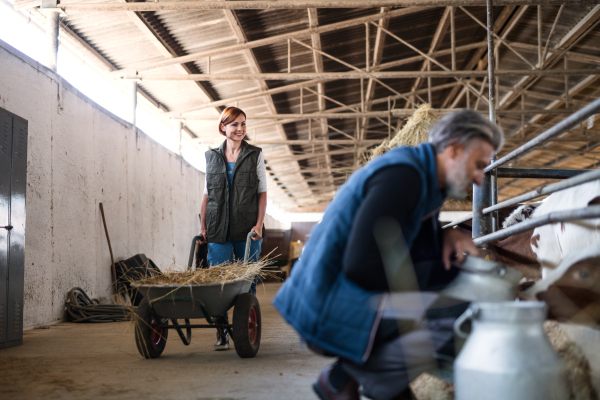 Man and woman workers working on a diary farm, agriculture industry.