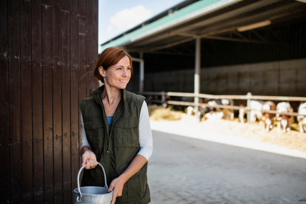 A woman worker with cans working on diary farm, agriculture industry.