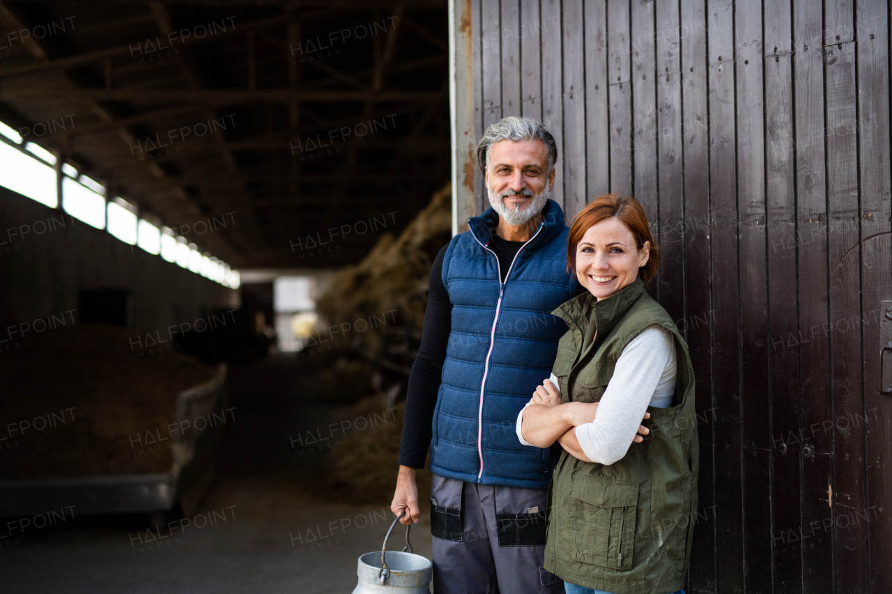 Man and woman workers standing on a diary farm, agriculture industry.