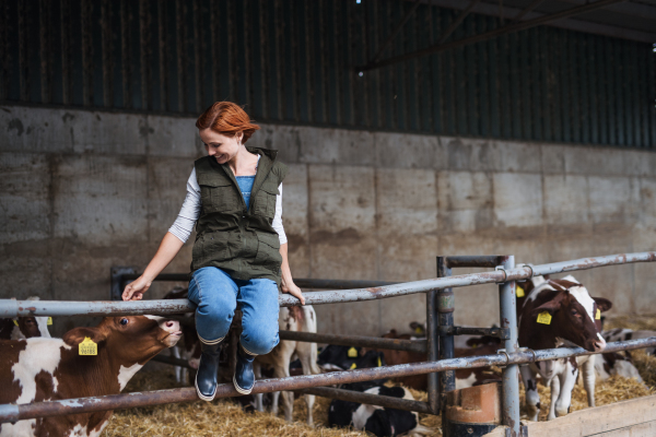 Woman worker sitting on railing on diary farm, agriculture industry. Copy space.