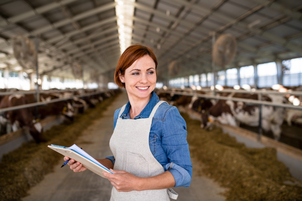 Woman manager with clipboard working on diary farm, agriculture industry. Copy space.