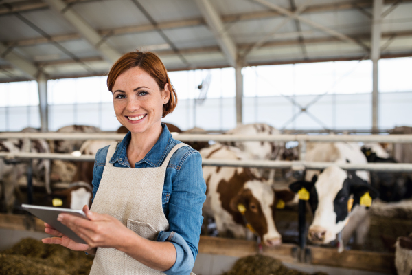 Woman manager with tablet working on diary farm, agriculture industry. Copy space.