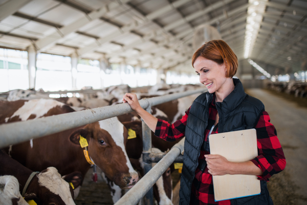 Woman manager with clipboard standing on diary farm, agriculture industry. Copy space.