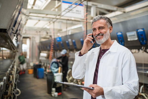 Mature man manager with smartphone working on diary farm, agriculture industry.