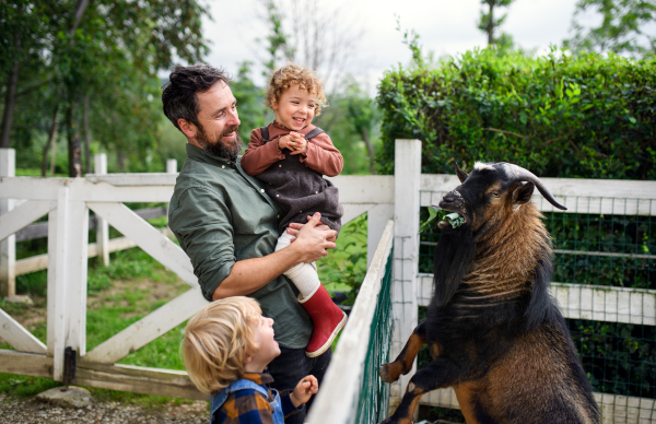 Portrait of father with happy small children standing on farm, feeding goat.