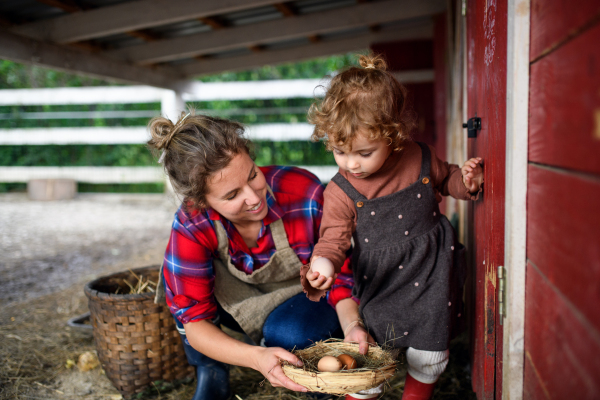 Portrait of mother with happy small daughter standing on farm, holding basket with eggs.