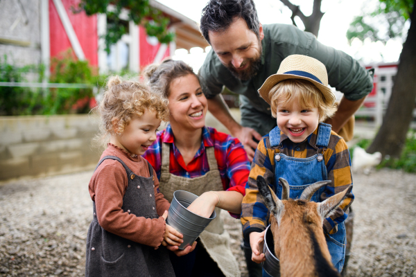 Portrait of happy family with small children standing on farm, feeding goat.