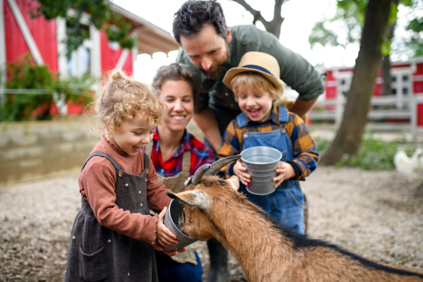 Portrait of happy family with small children standing on farm, giving water to goat.