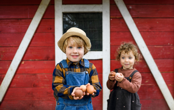 Front view portrait of small children standing on farm, holding eggs.