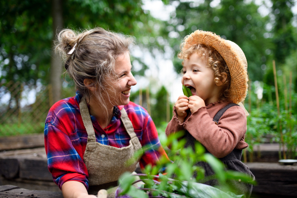 Happy mother with small daughter gardening on farm, growing organic vegetables.